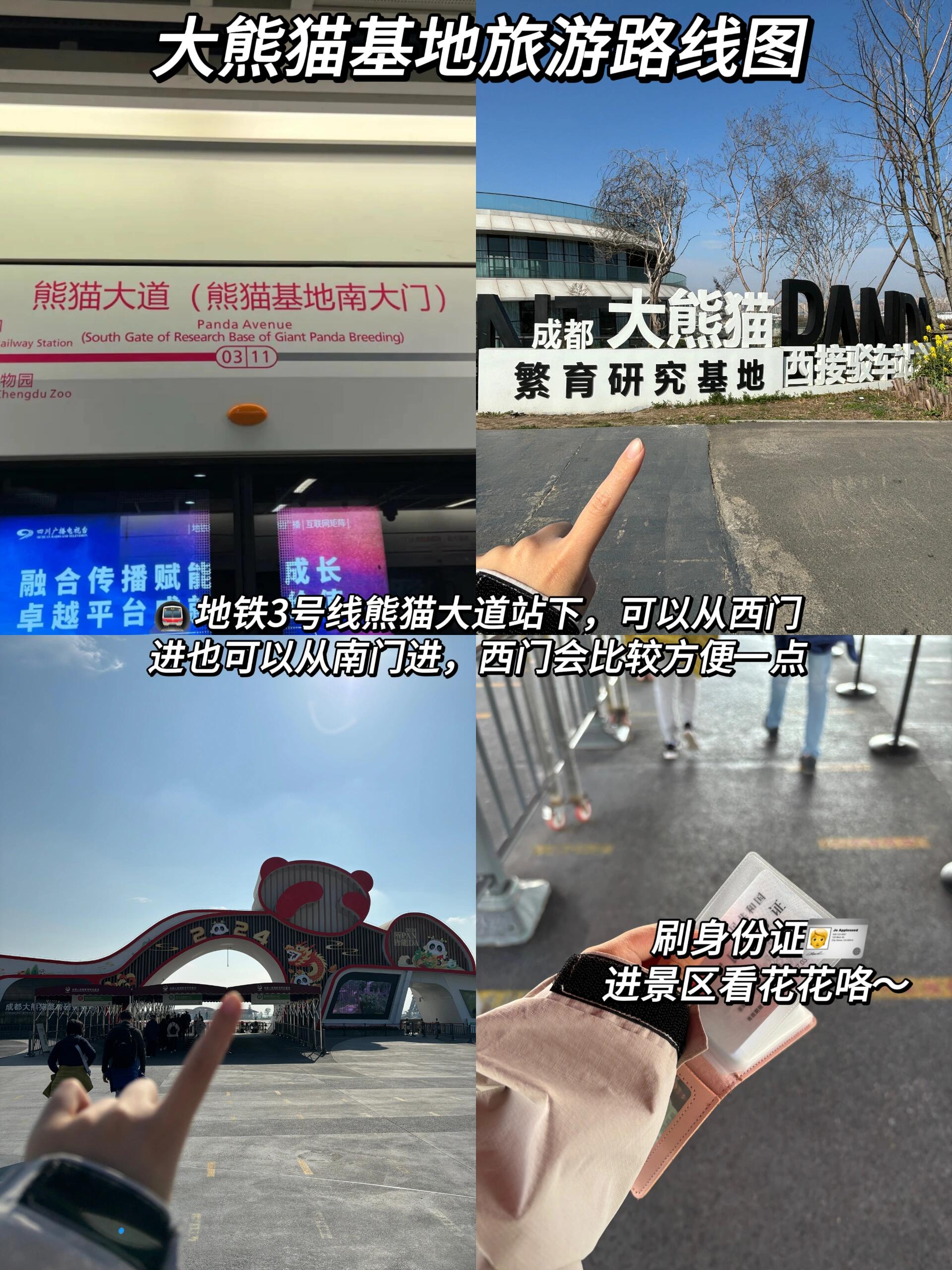 成都大熊猫基地旅游攻略/成都最建议去三个地方-第1张图片