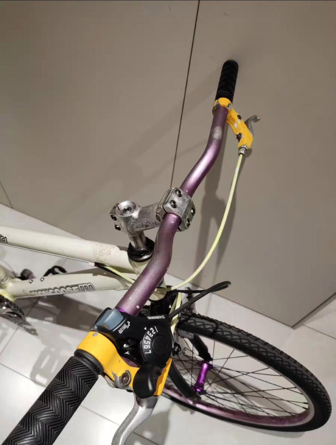 前十品牌山地车(中国前十名牌山地车)-第2张图片