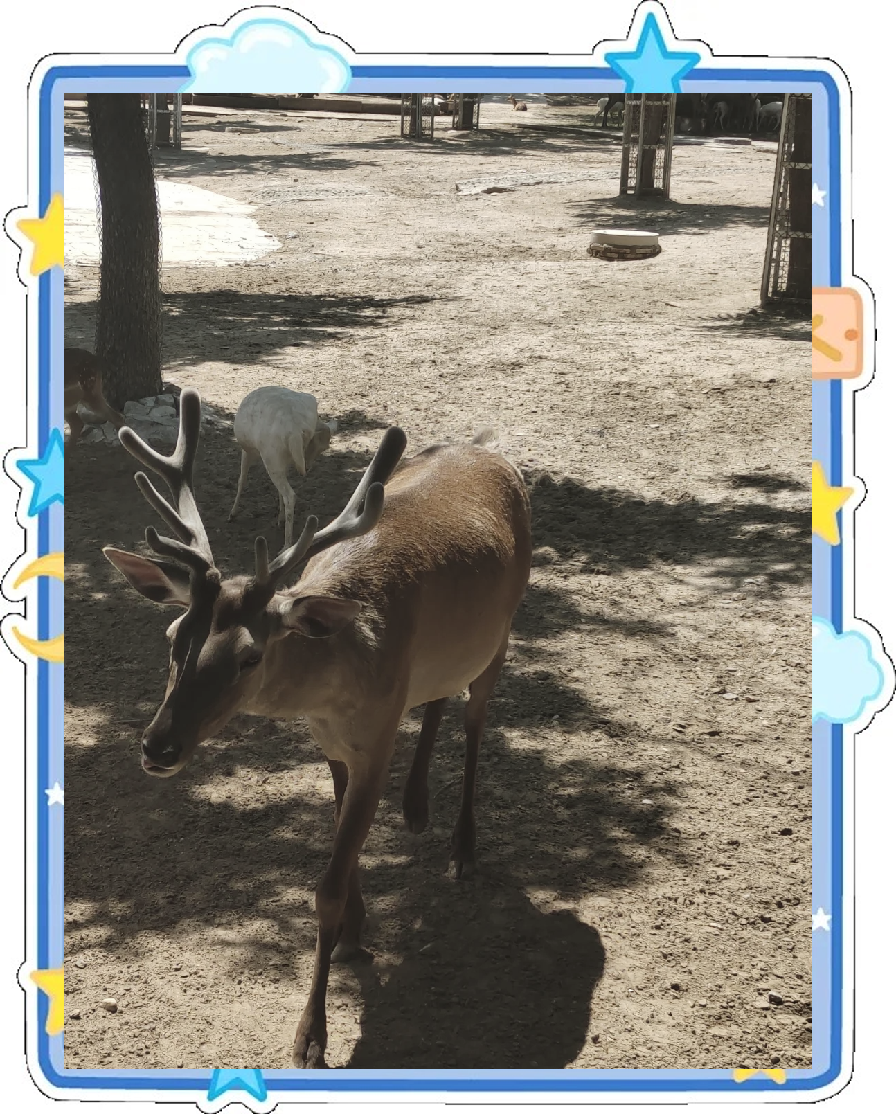 石家庄旅游攻略景点必去(石家庄旅游景点?)-第1张图片