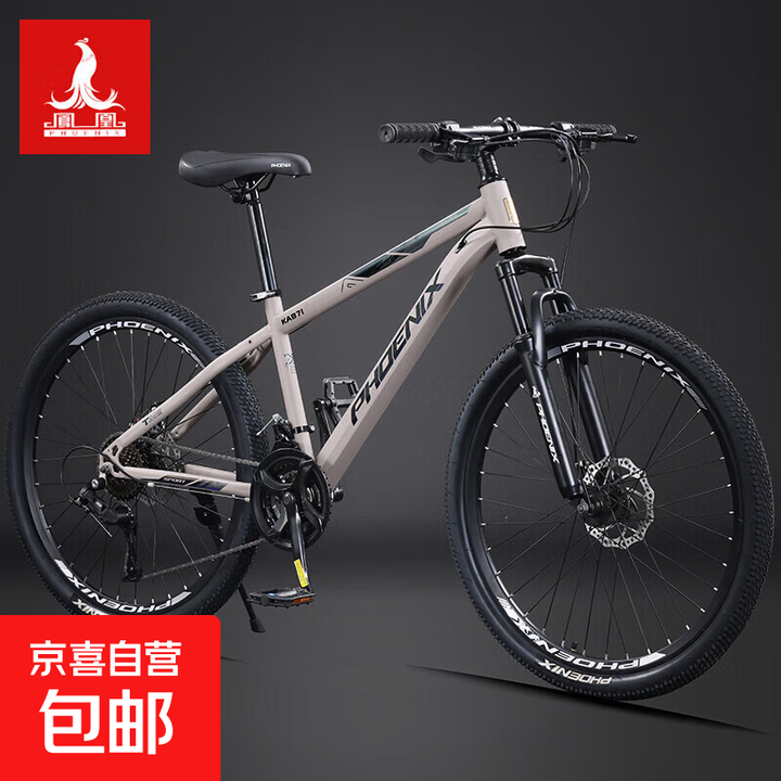 全球前十自行车品牌/普通自行车品牌哪个好-第1张图片