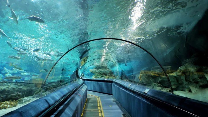 【北京富国海底世界门票,北京富国海底世界门票团购】-第1张图片