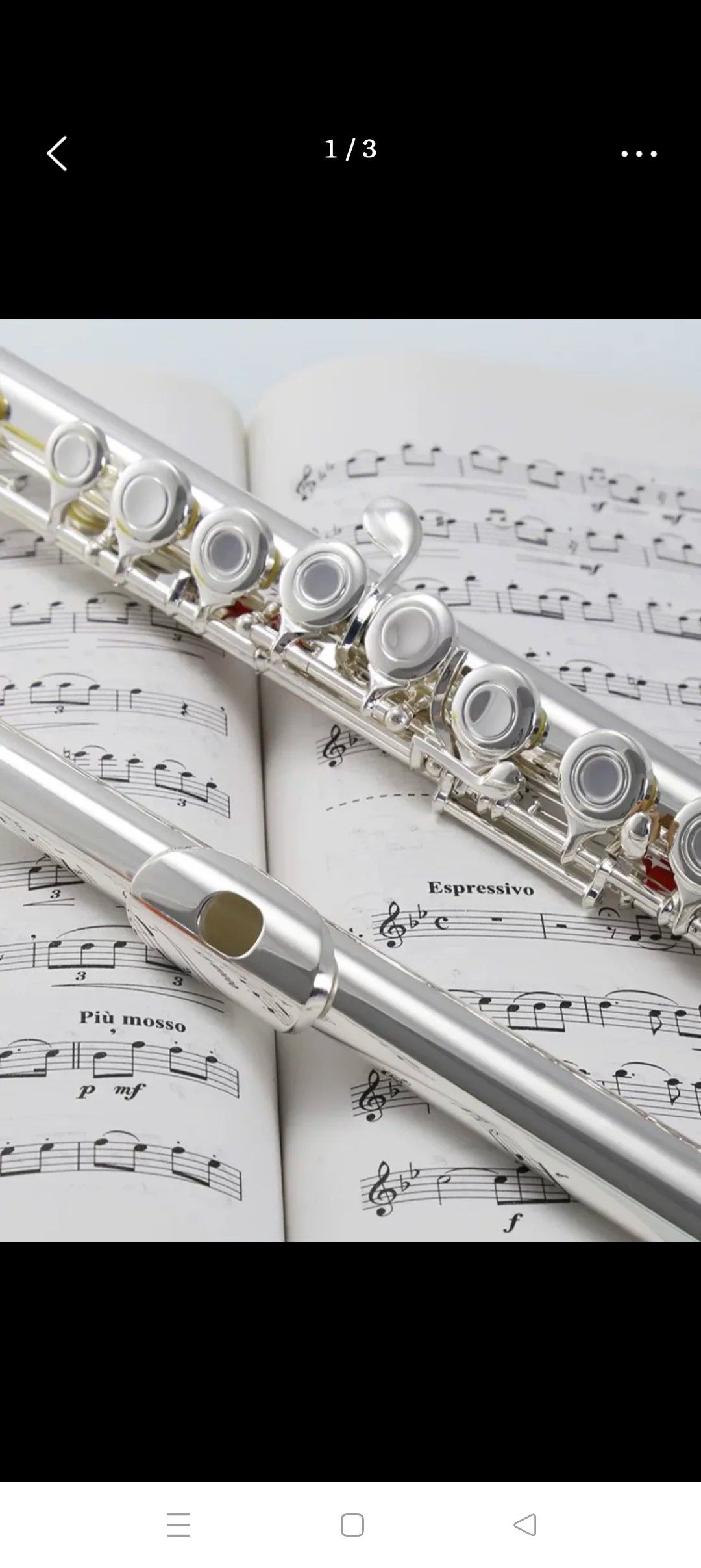 【长笛前十品牌,长笛知名品牌】-第1张图片