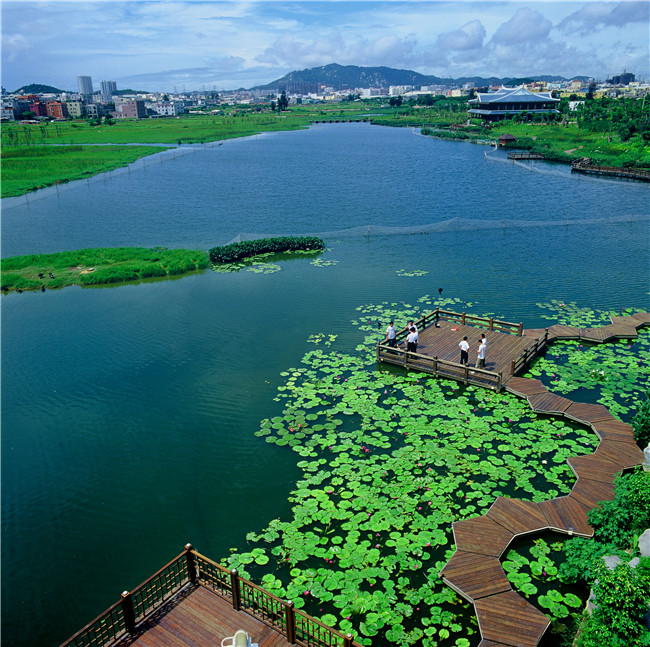 厦门五缘湾湿地公园(厦门五缘湾湿地公园好玩吗)-第3张图片