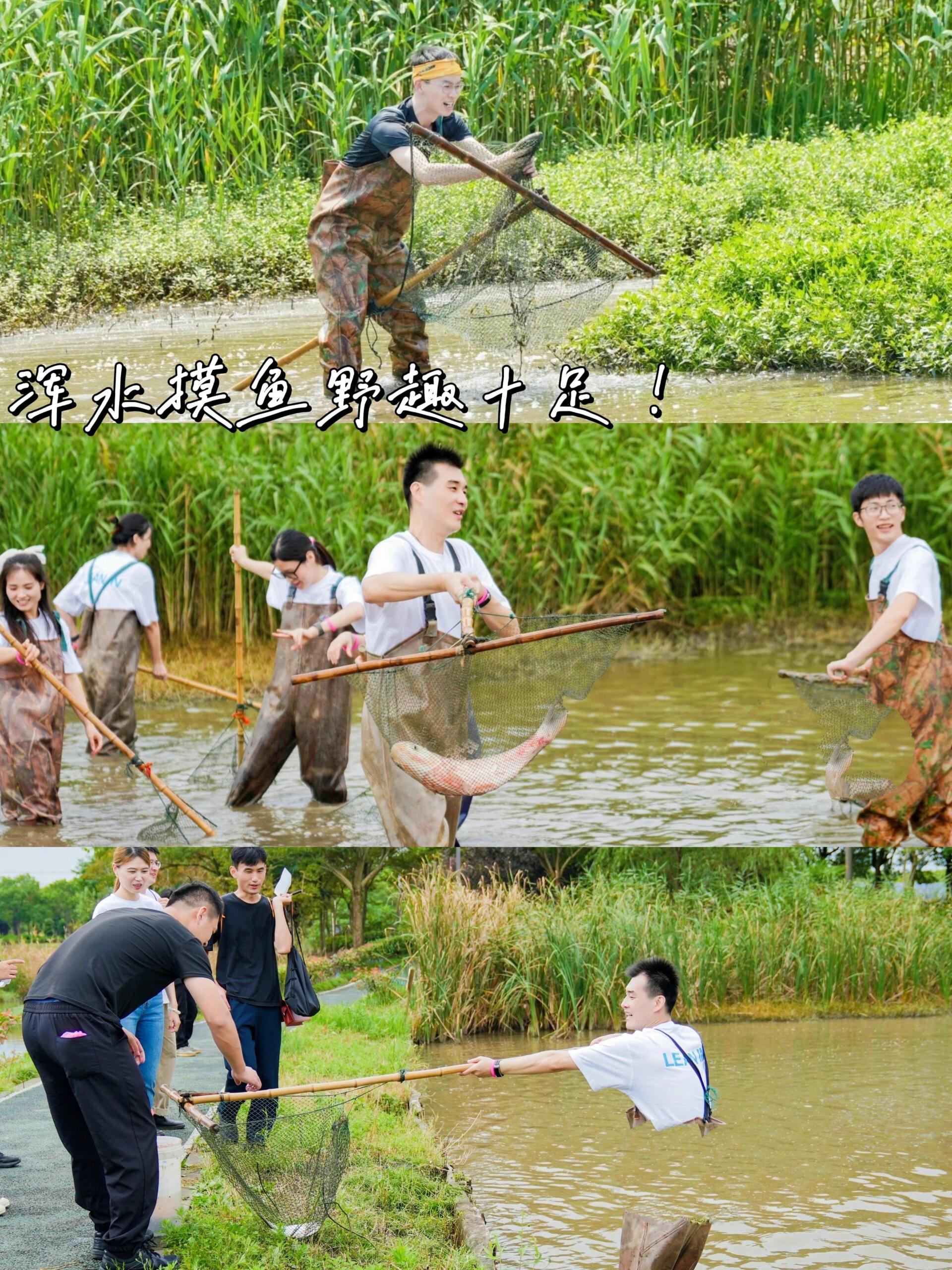 上海崇明岛一日游攻略/上海崇明岛一日游攻略图-第1张图片