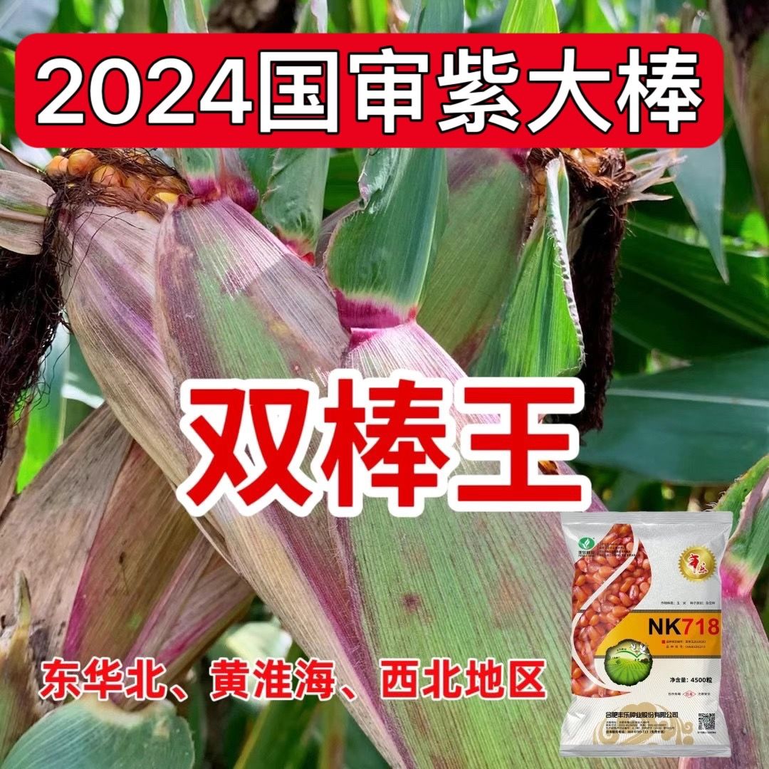 【中国前十玉米种子品牌,中国前十名牌玉米种子费用表】-第2张图片