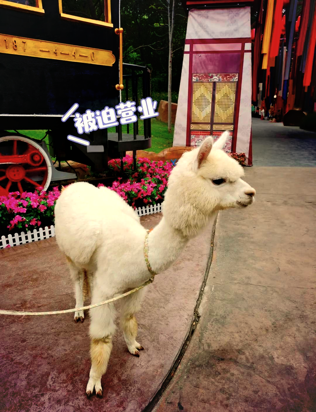 石景山游乐园攻略/石景山游乐园项目费用表-第1张图片