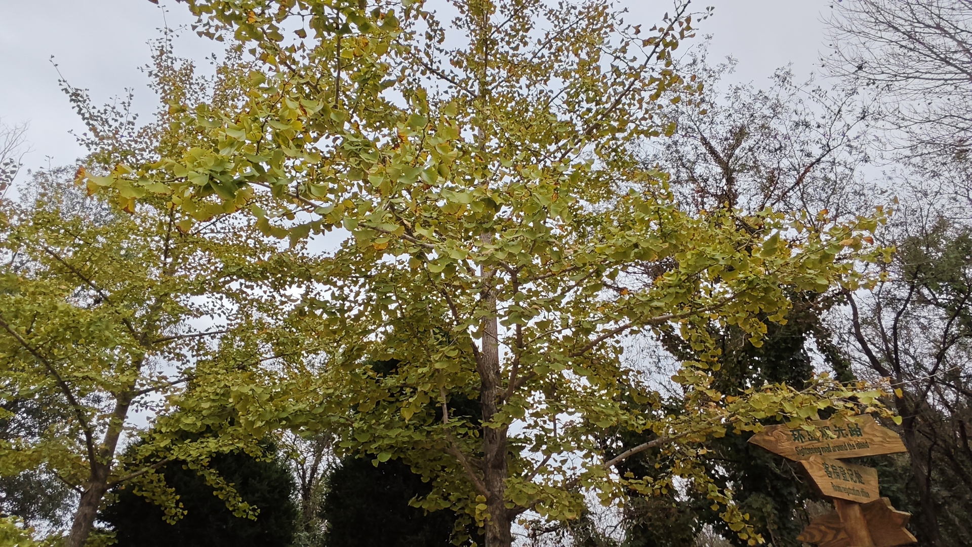 【六盘水天气,六盘水天气7天】-第1张图片