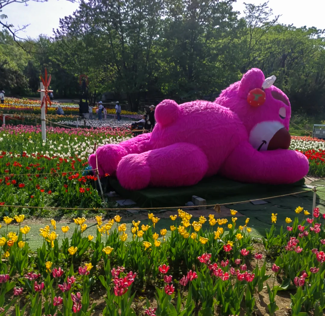 【沈阳世博园,沈阳世博园什么时间去比较好】-第2张图片