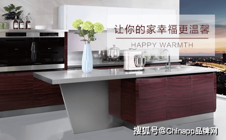 橱柜前十品牌排名榜(橱柜前十品牌排名榜前十名有哪些)-第2张图片