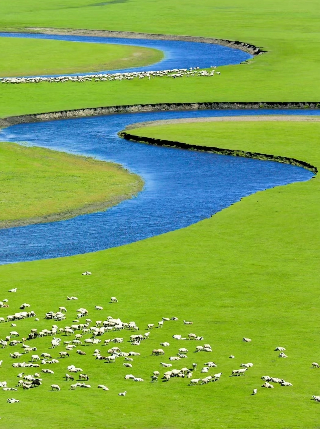 【内蒙古旅游,内蒙古旅游自由行攻略】-第3张图片