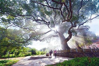 福建旅游景点(福建旅游景点排名榜前十名)-第2张图片