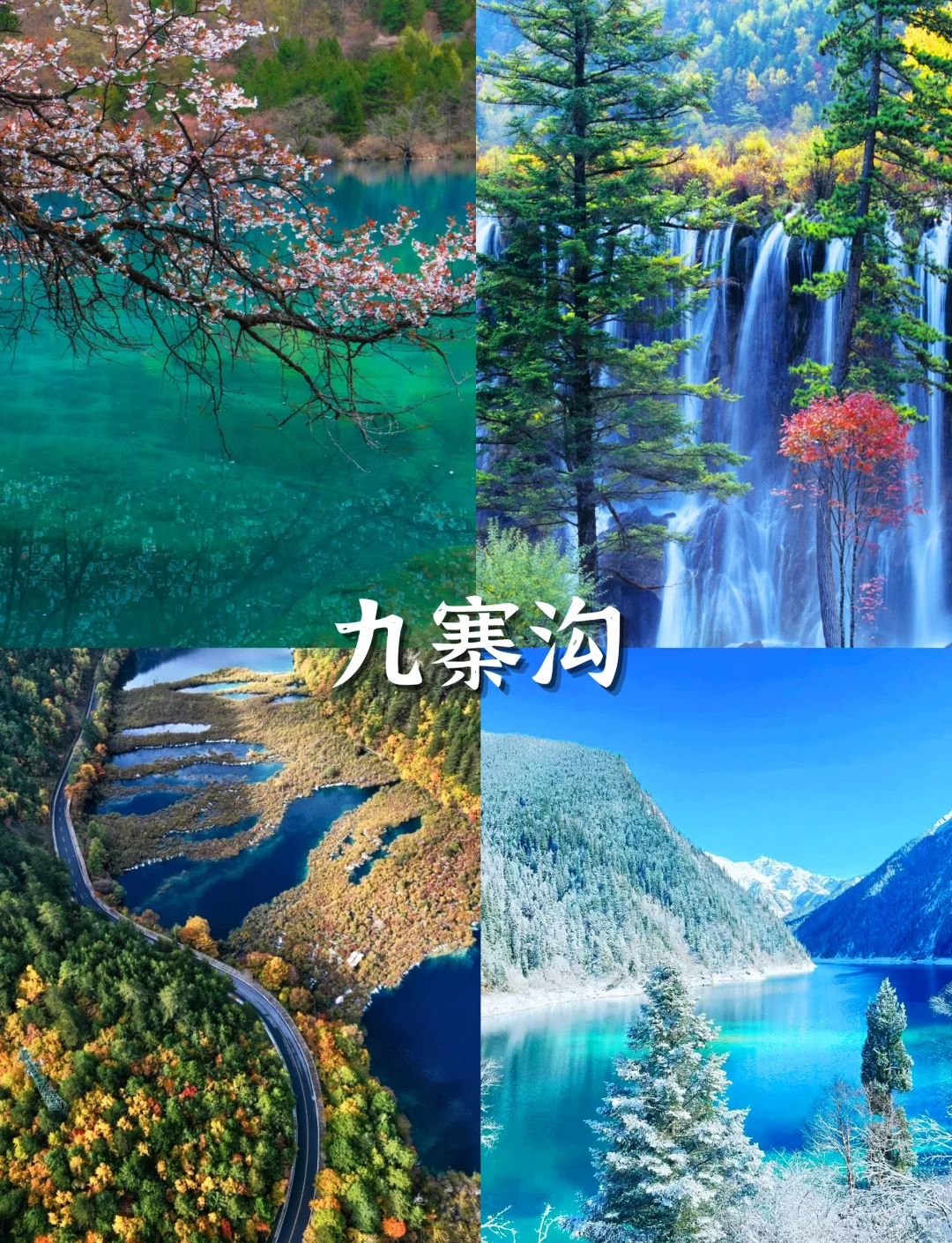 去了九寨沟还有必要去黄龙吗/去九寨沟一定要去黄龙吗-第2张图片