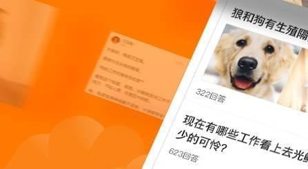 悟空问答前十品牌/悟空问答 平台-第1张图片