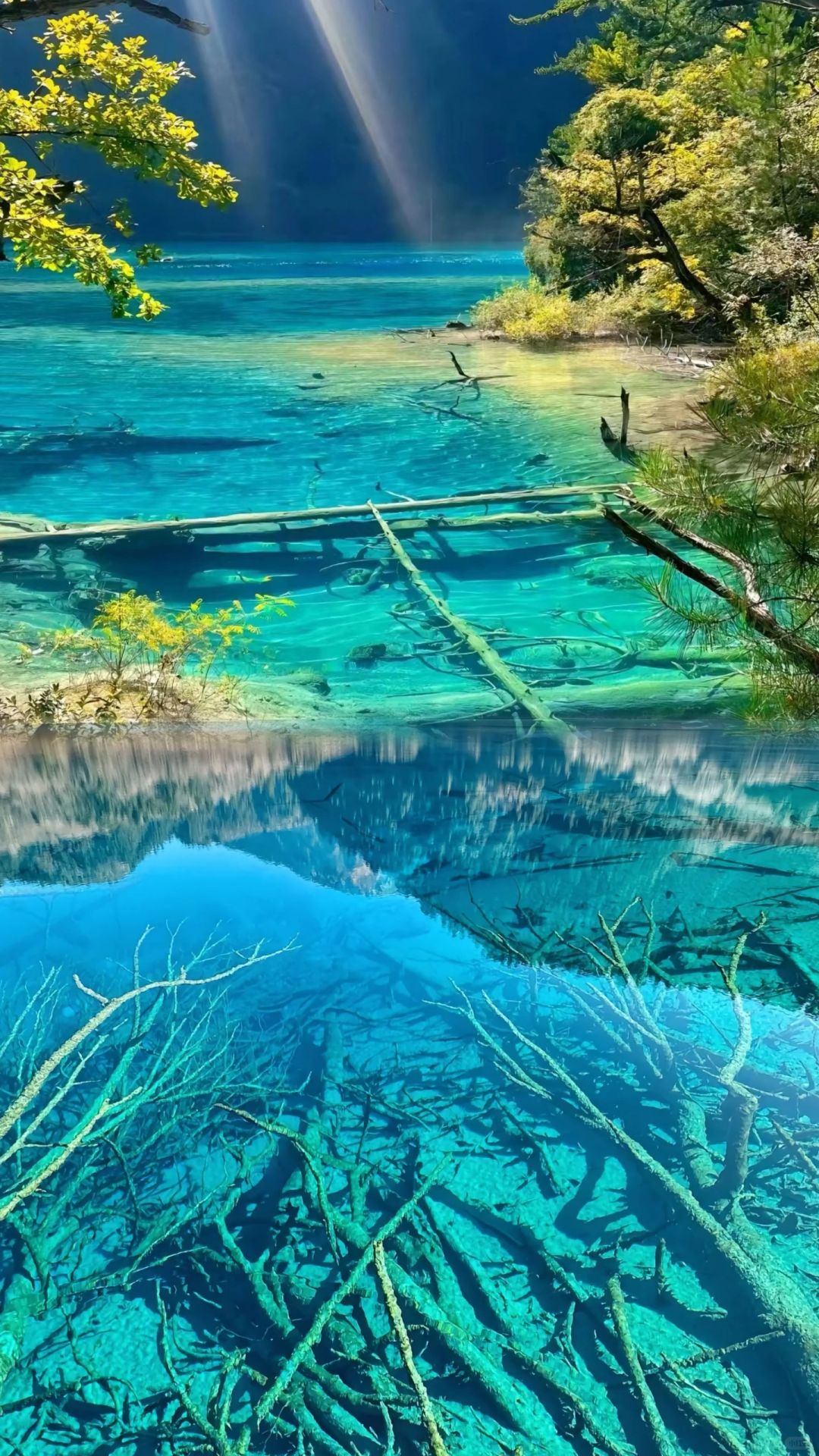 九寨沟海拔比较高多少米/九寨沟海拔比较高多少米是属于哪里-第1张图片