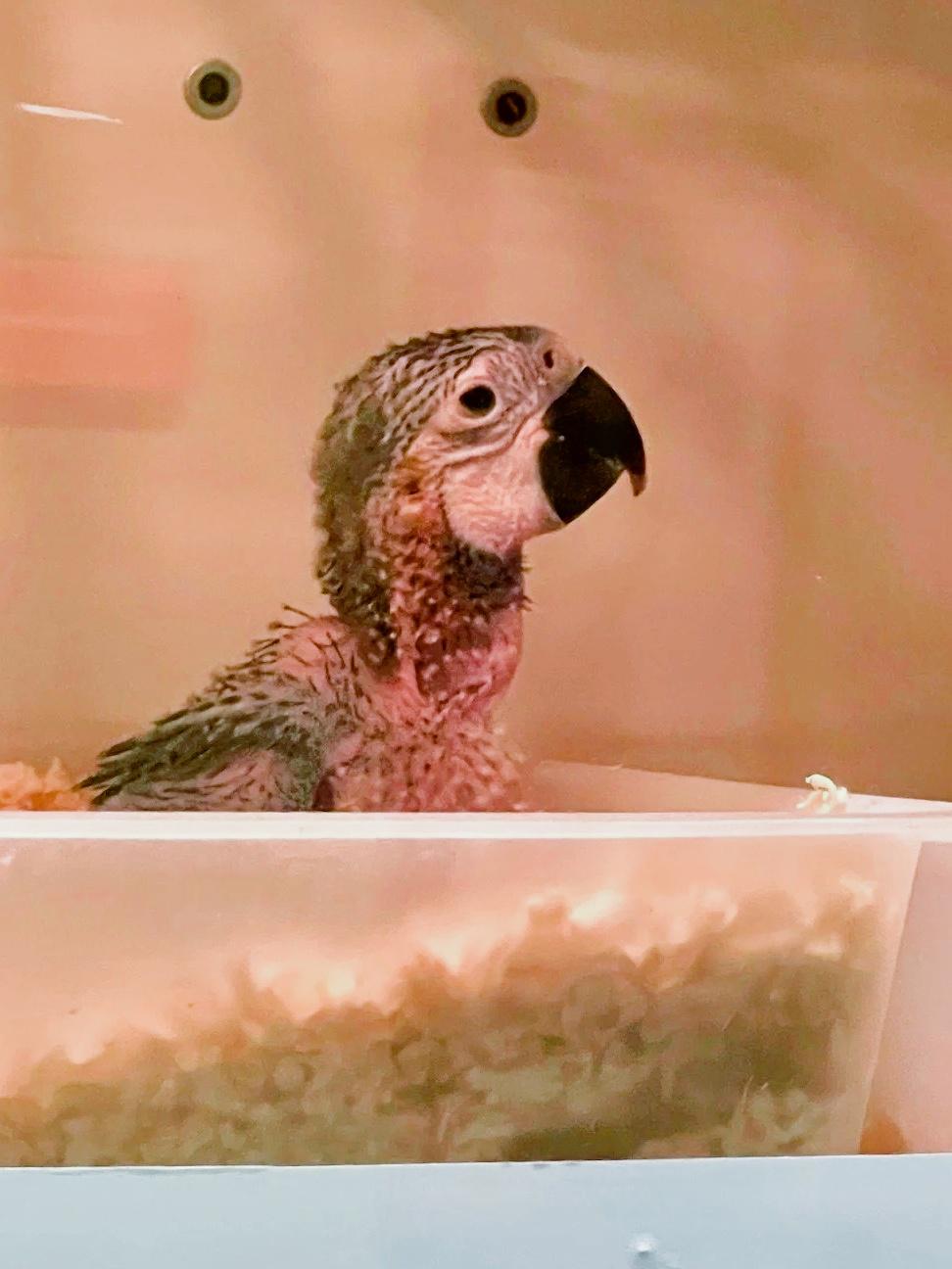 【泰国前十必去景点,泰国前十必去景点有哪些?求推荐适合情侣的游玩路线】-第2张图片