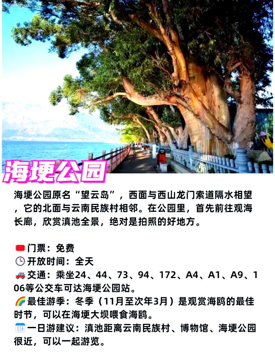 云南昆明旅游必去的景点(云南昆明旅游必去的景点推荐)-第1张图片