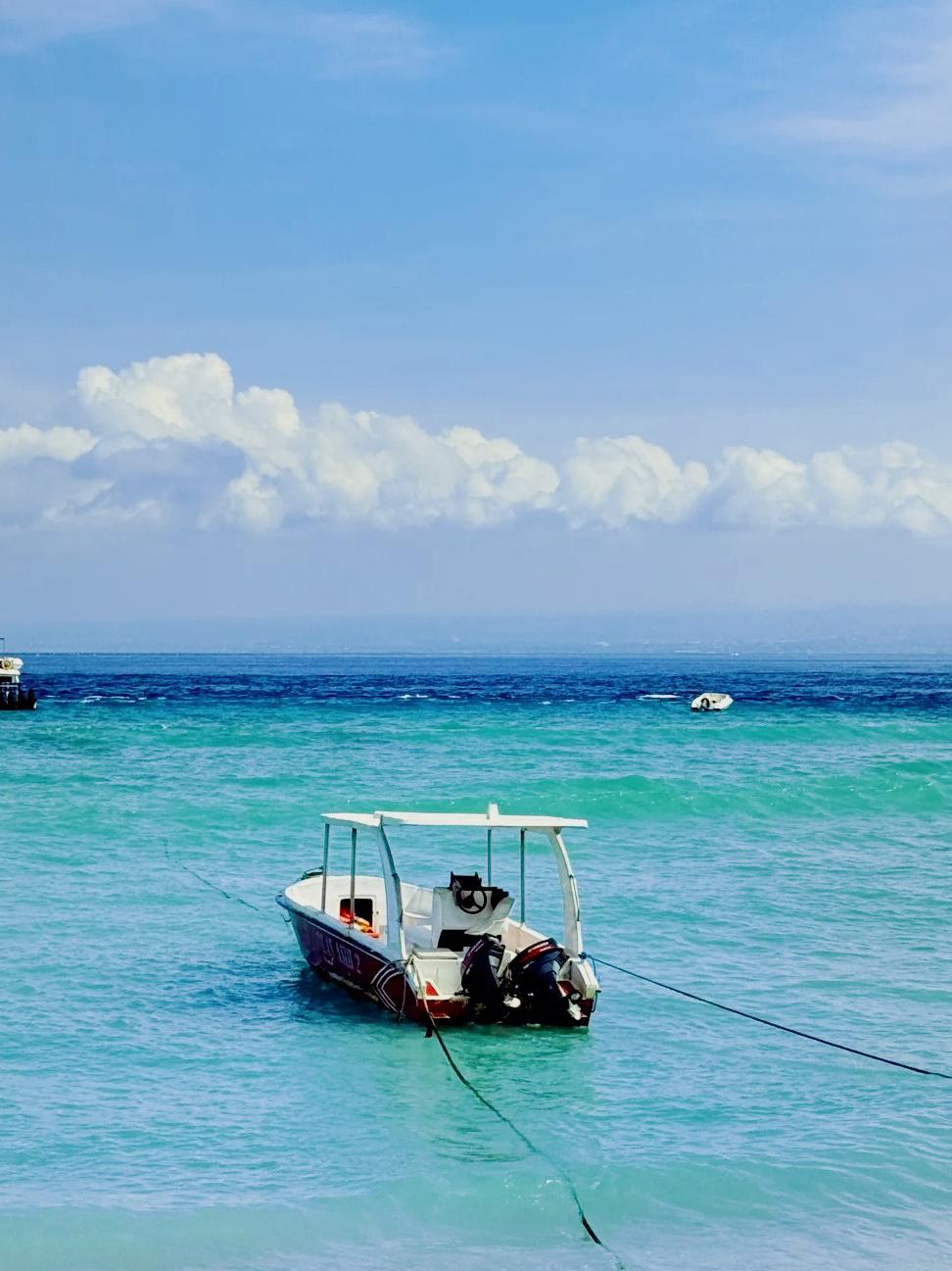 【三月份去哪里旅游比较好,三月份去哪里旅游比较好没有美景好看又好吃的】-第2张图片